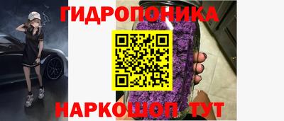 гидра Комсомольск-на-Амуре
